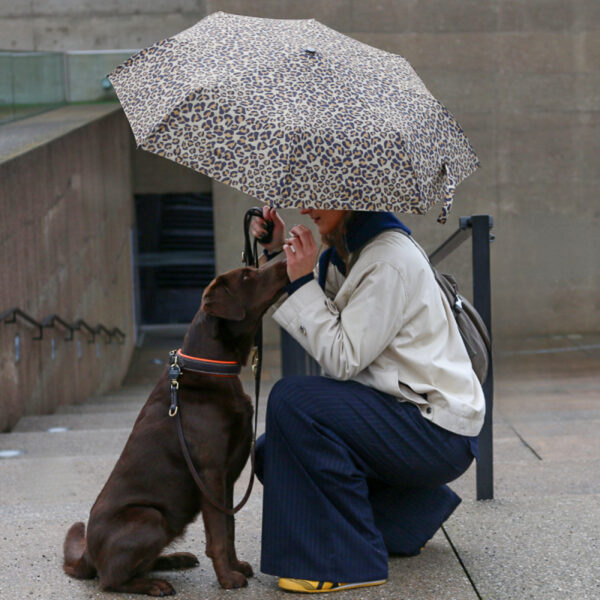 Regenschirm Leo & Hexagon