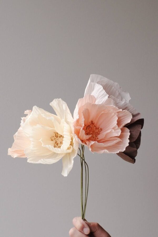 Krepppapierblumen Frieda Creme Lachs