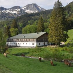 Geheimtipp Allgäu Alpe Mitterhaus