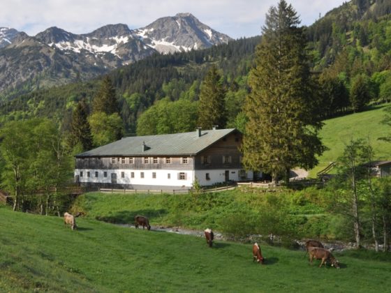 Geheimtipp Allgäu Alpe Mitterhaus