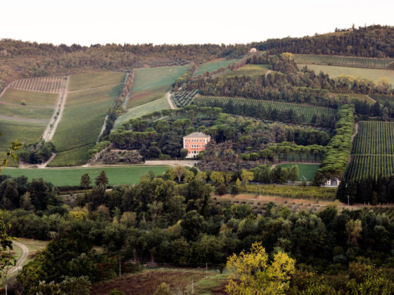 Weintipp Emilia-Romagna Noelia Ricci