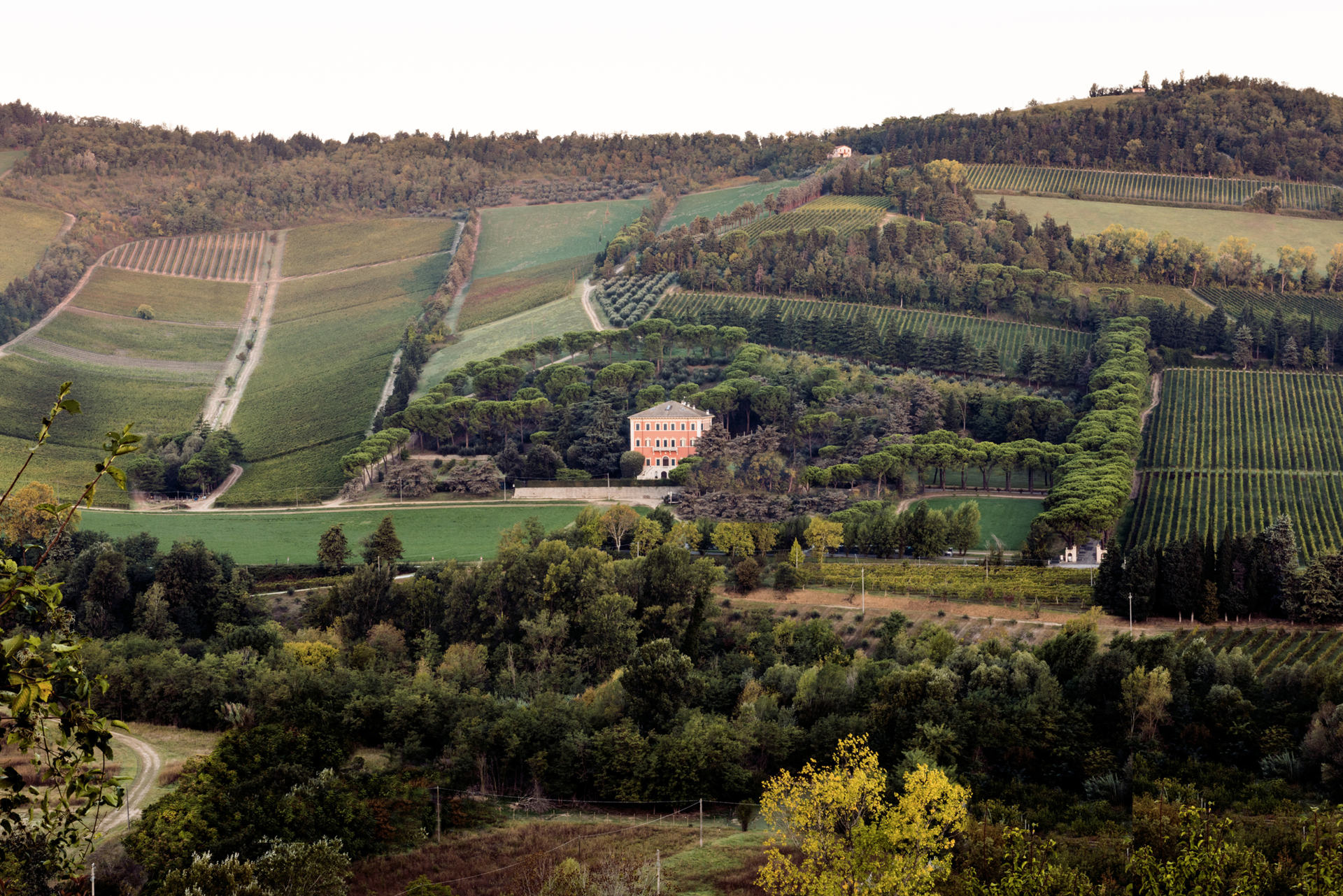 Weintipp Emilia-Romagna Noelia Ricci