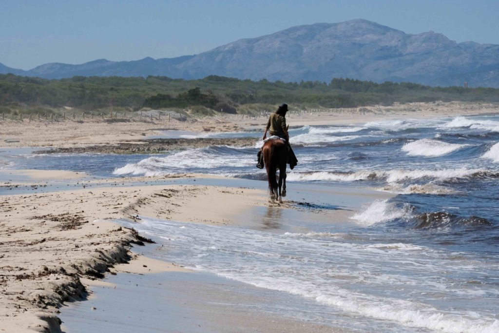 Naturacavall Geheimtipp Mallorca Pferde Ausritt