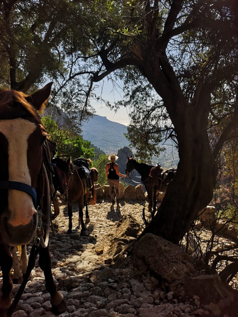 Naturacavall Geheimtipp Mallorca Pferde Ausritt