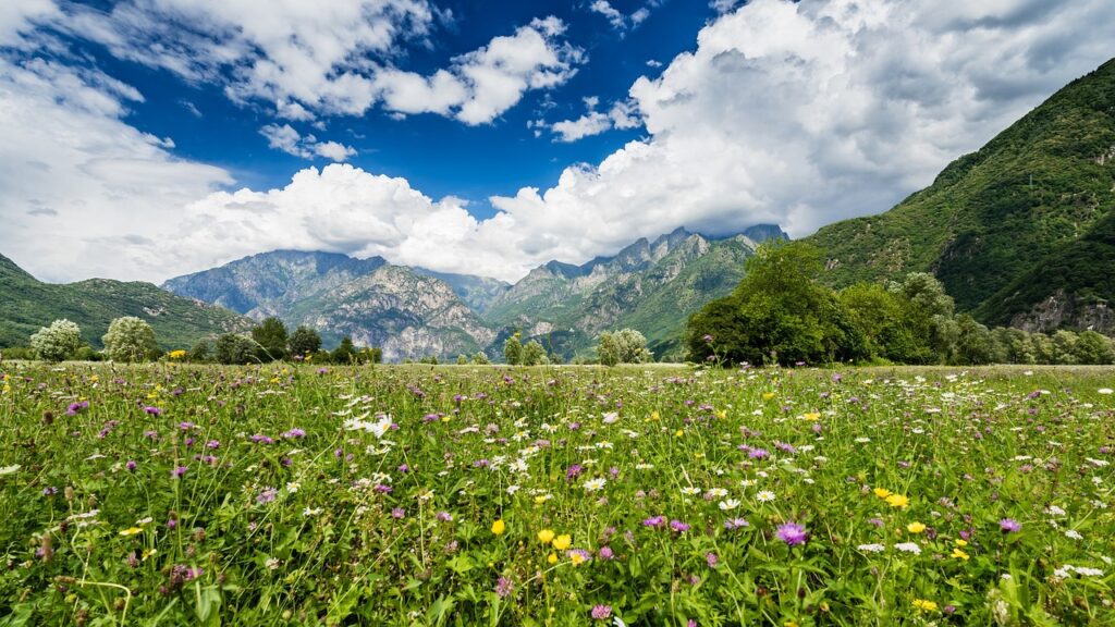 Weingut Valtellina