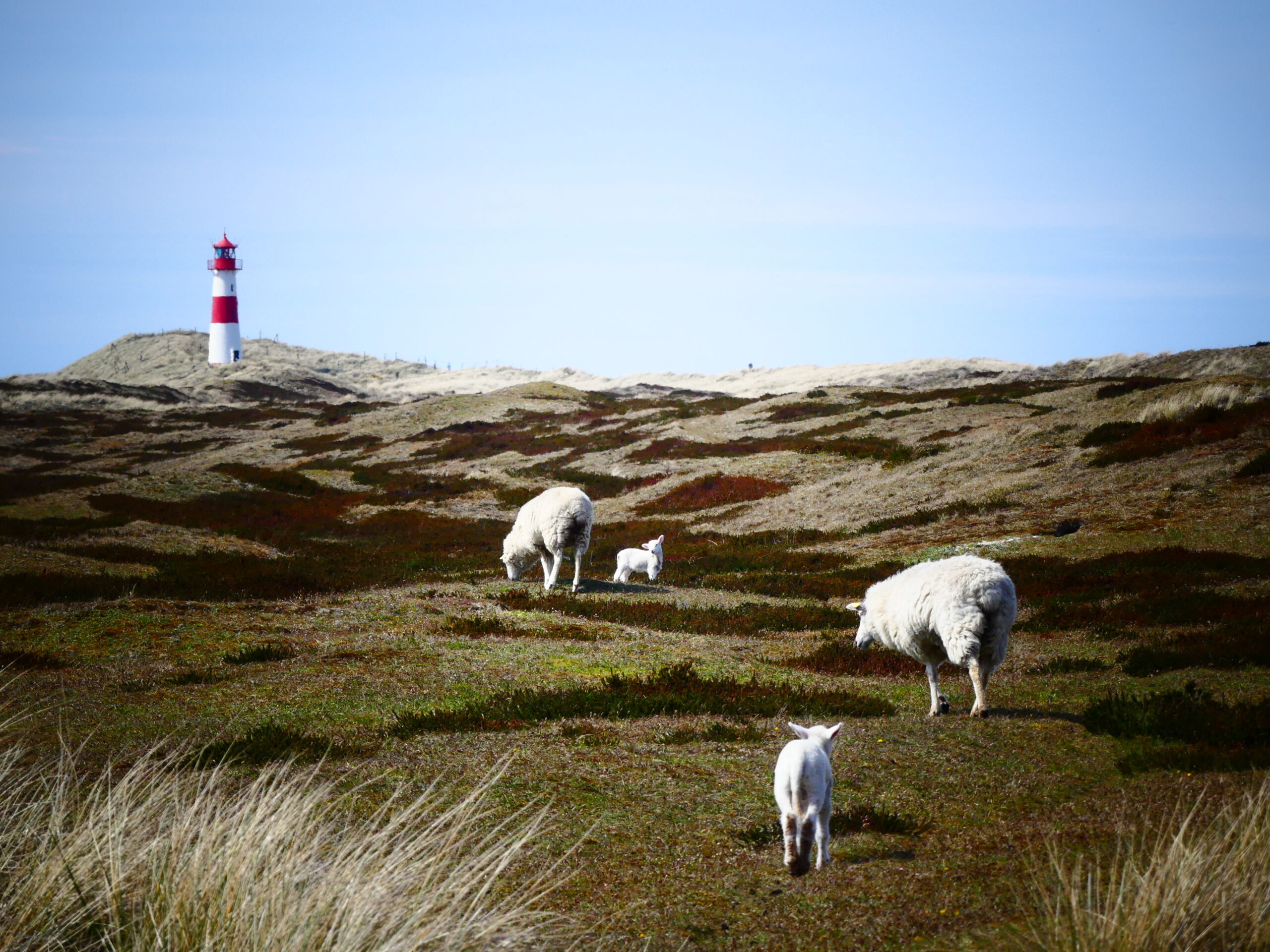 Geheimtipps Sylt