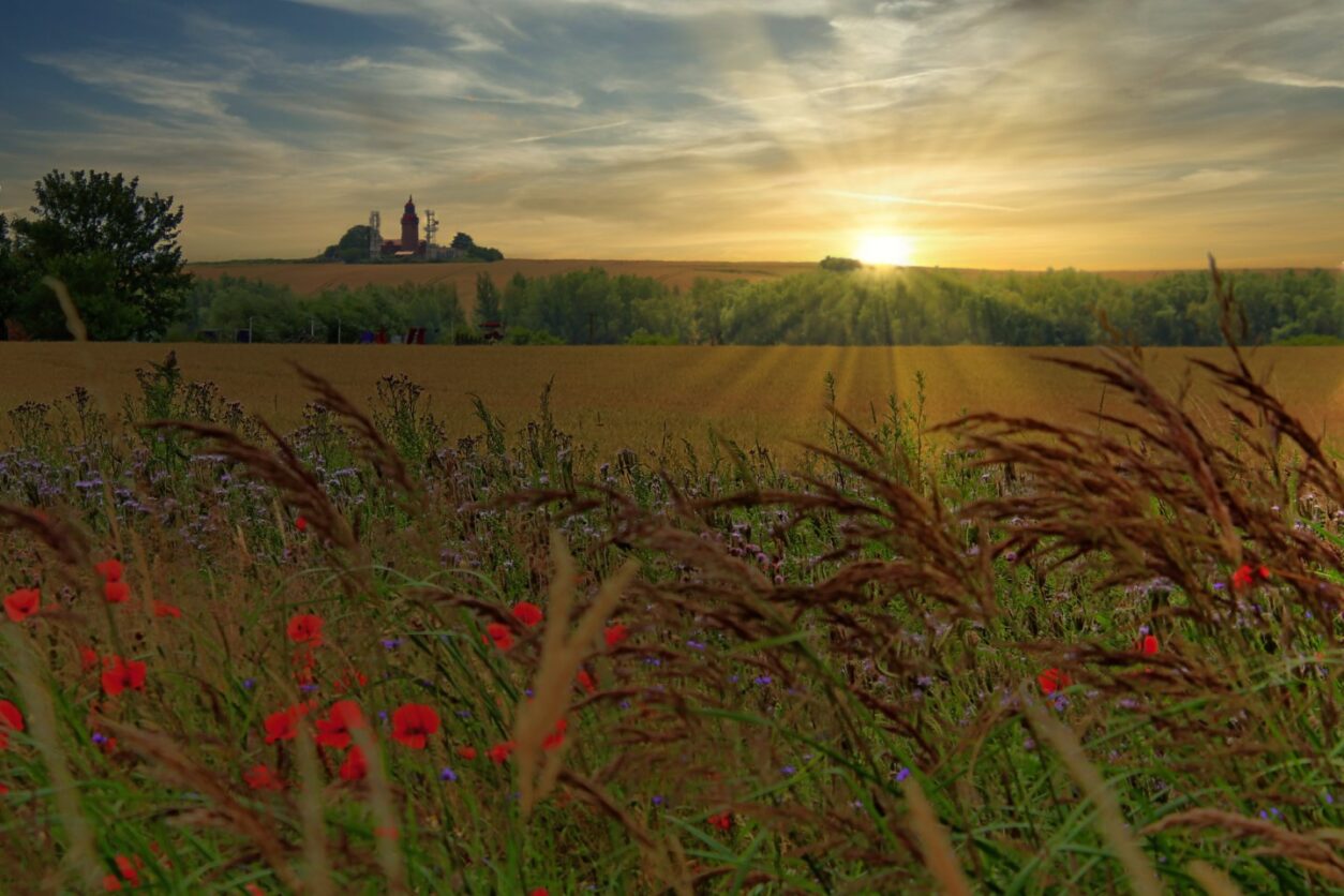 Geheimtipps Mecklenburg-Vorpommern