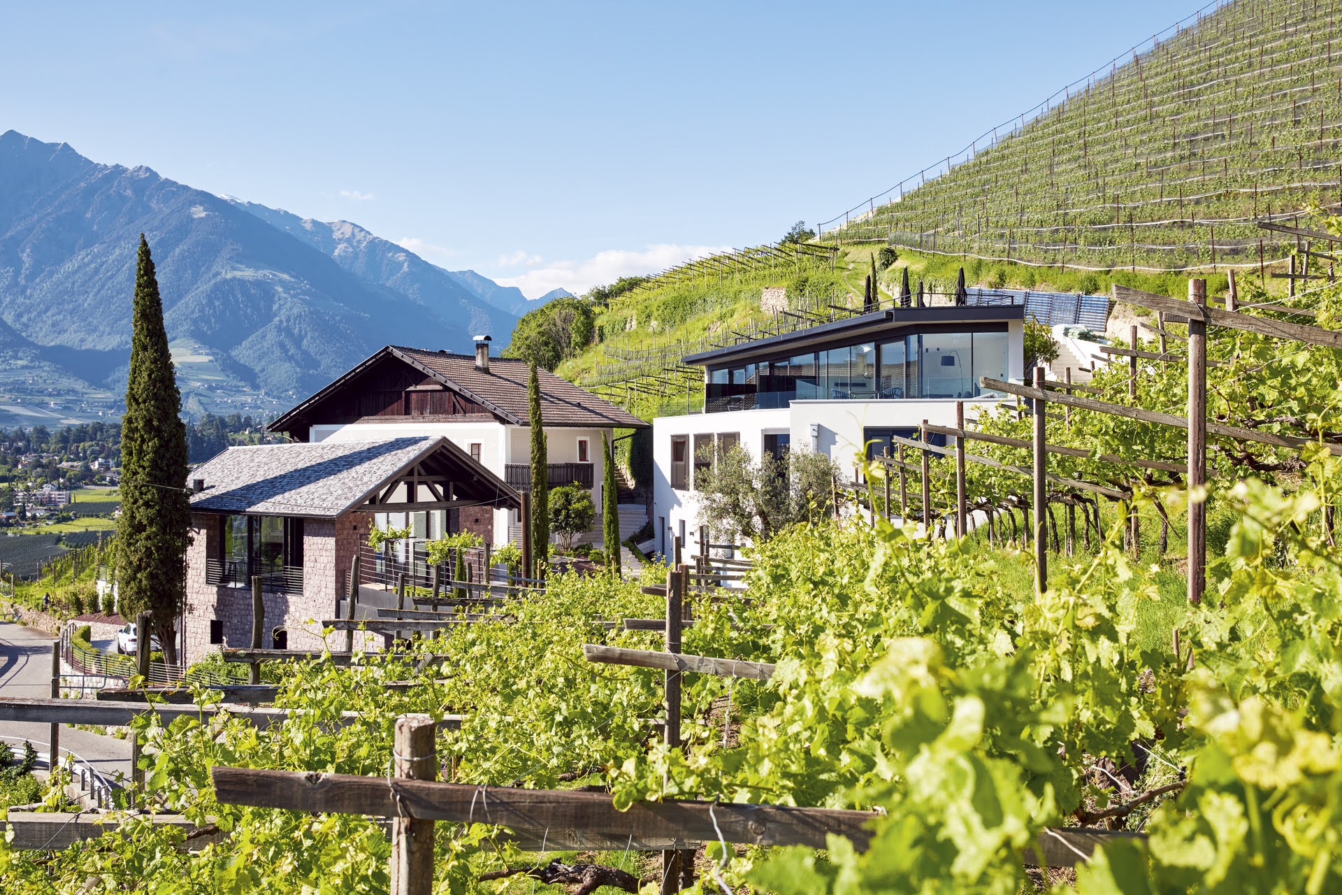 Pratenberg Wine Lodge - Ferienwohnungen Meran