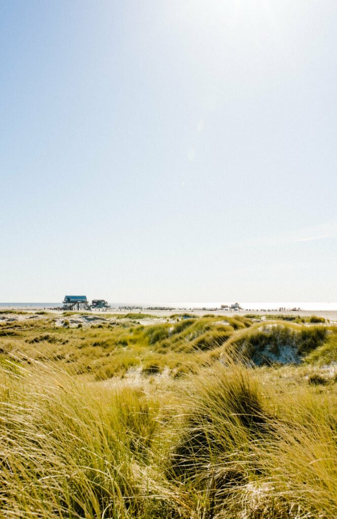 Boutique Hotel Sankt Peter Ording - Seaside43