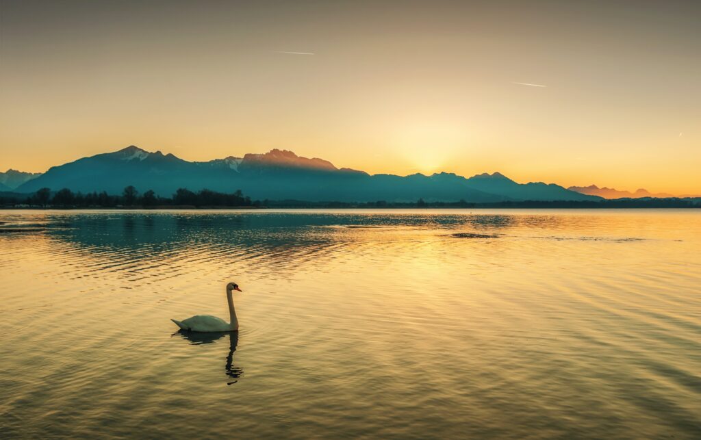 Chiemsee