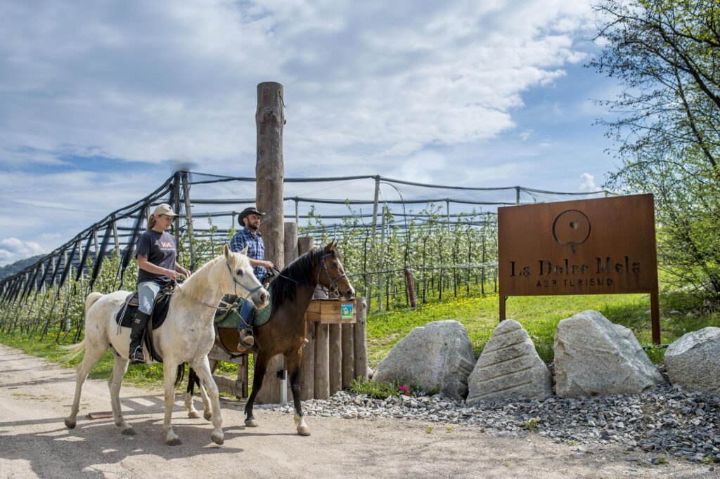 Boutique Hotel Trentino - Agriturismo La Dolce Mela