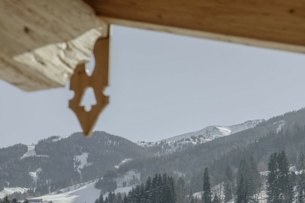 Hygna Chalets in Tirol - Alpbachtal