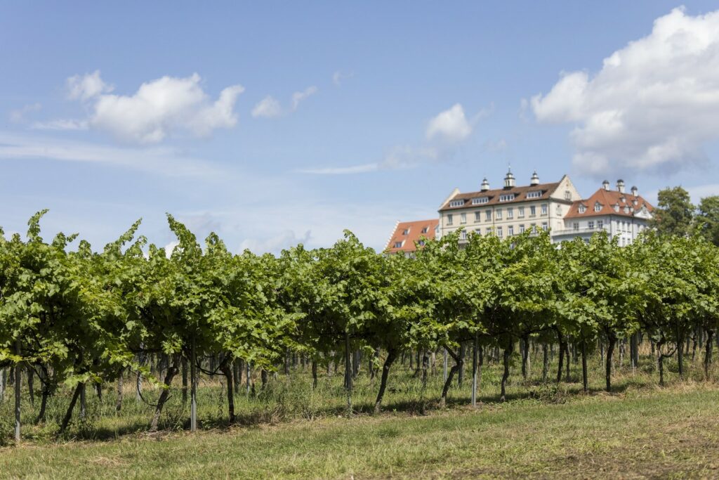 Schloss Kirchberg - Luxus Ferienwohnung Bodensee