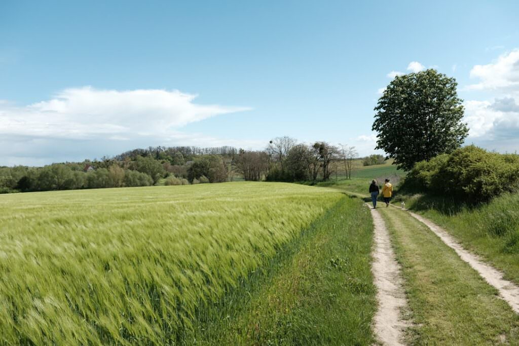 Ferienwohnung & Ferienhaus Uckermark - Hof Flieht