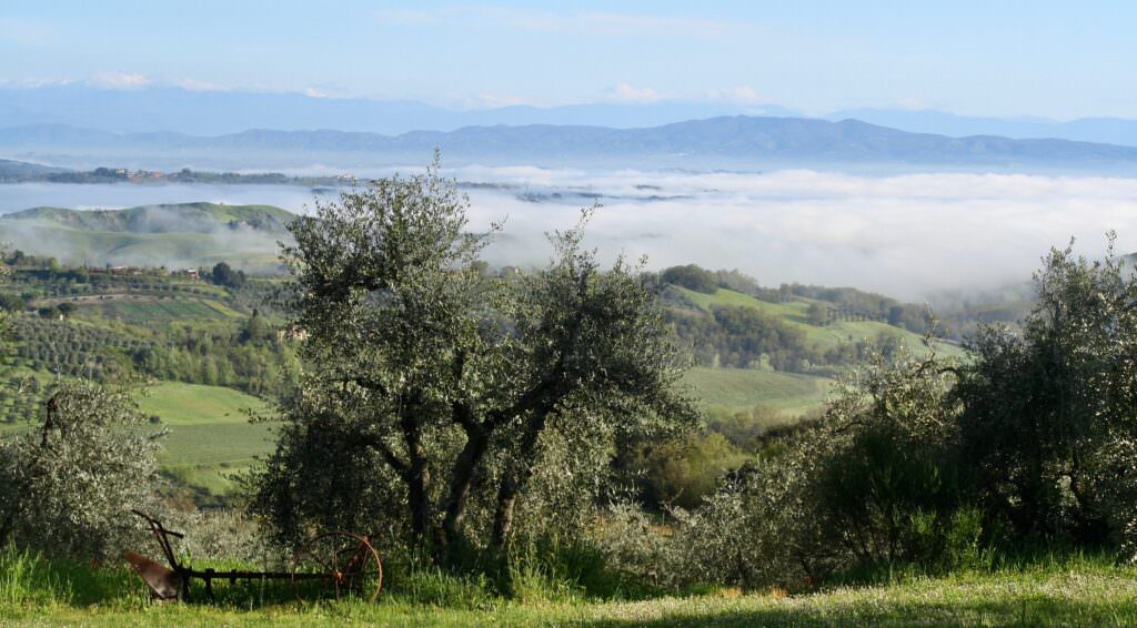 Ferienwohnungen in Montaione - Rigone