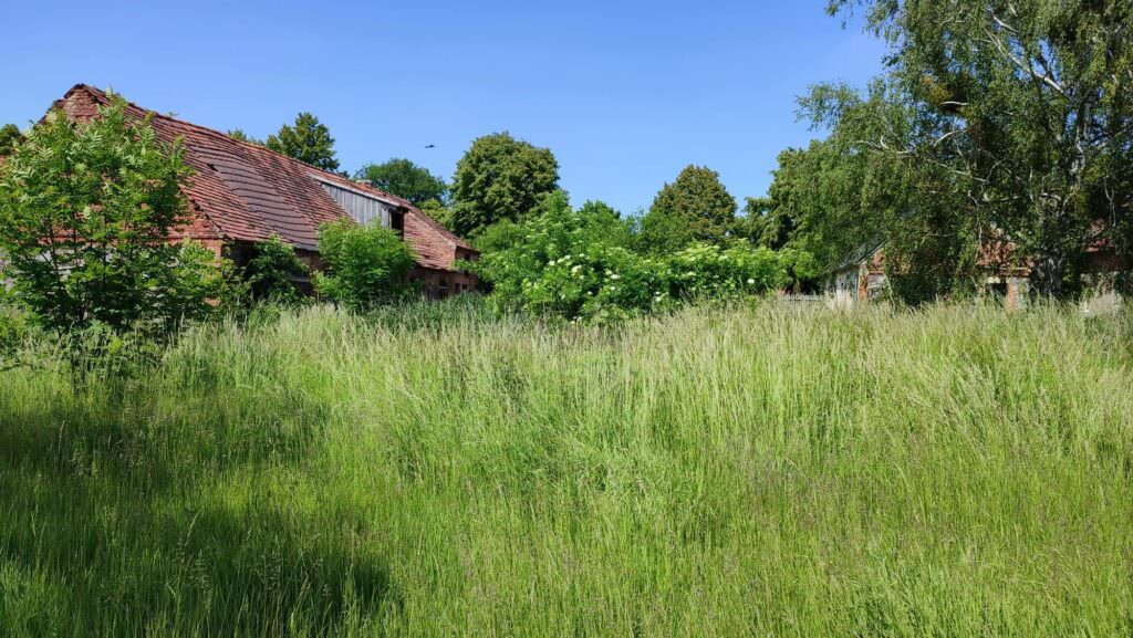 Ferienwohnung & Ferienhaus Uckermark - Hof Flieht