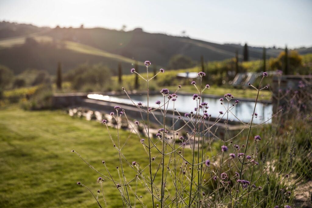 Agriturismo Follonico - Boutiquehotel in der Toskana