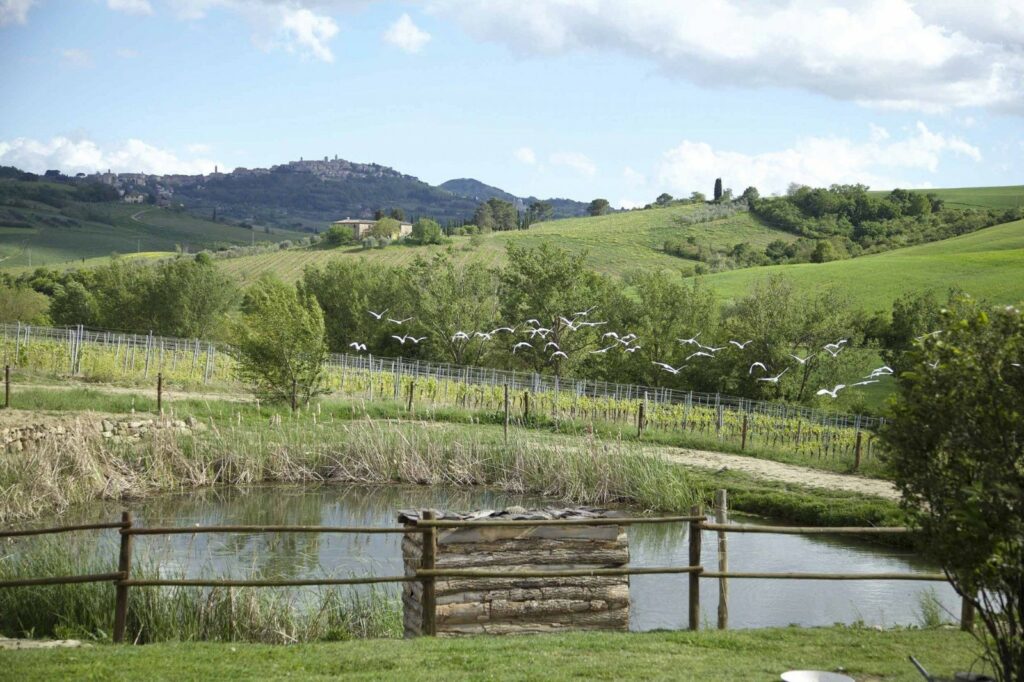 Agriturismo Follonico - Boutiquehotel in der Toskana