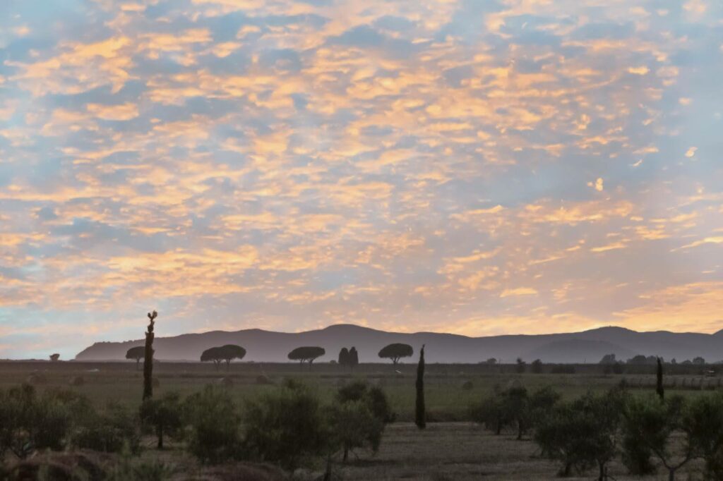 Boutiquehotel Maremma - Casale Oliveta