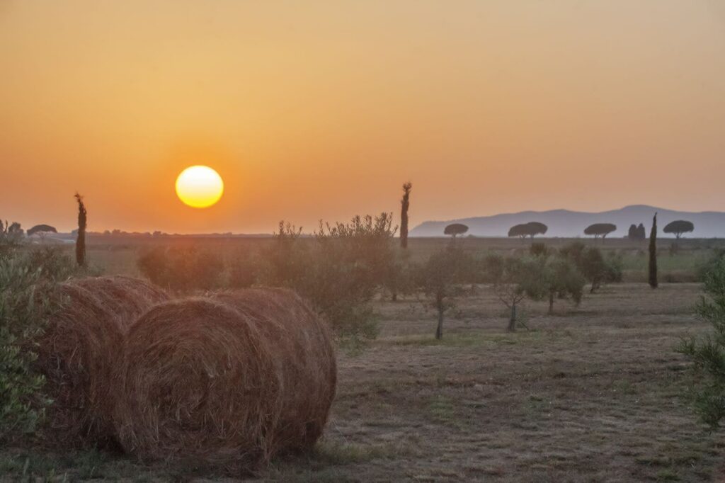 Boutiquehotel Maremma - Casale Oliveta