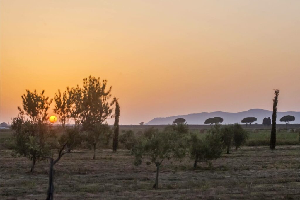 Boutiquehotel Maremma - Casale Oliveta