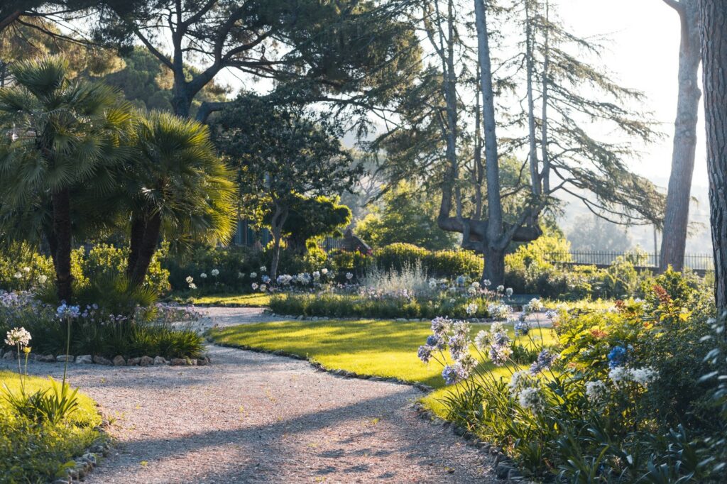 Agriturismo in der Maremma - Tenuta Il Cicalino