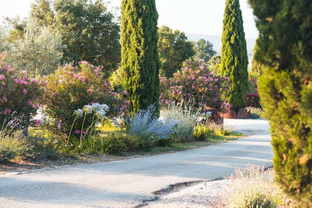 Agriturismo in der Maremma - Tenuta Il Cicalino