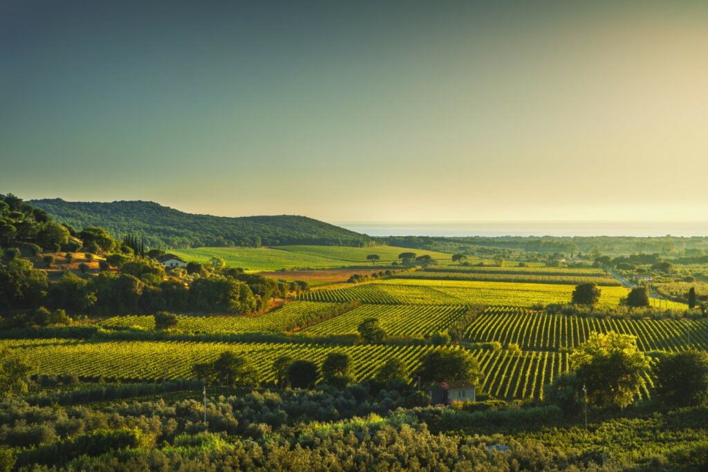 Weintipps Maremma - Bolgheri & Suvereto