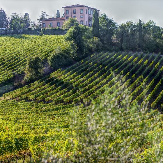Weintipps Maremma - Bolgheri & Suvereto