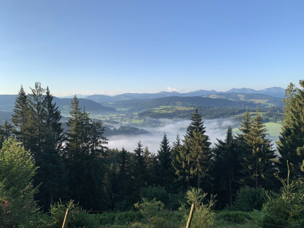 Ferienwohnung Allgäu - Auf Hohenegg
