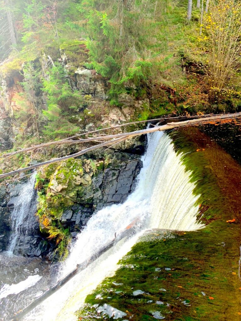 Ferienwohnung Wutachschlucht - Schellisvier