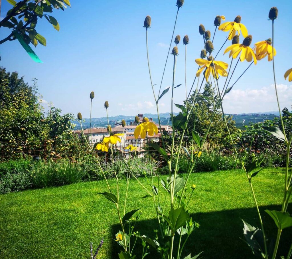 Ferienwohnung in Barolo - Villa Carla