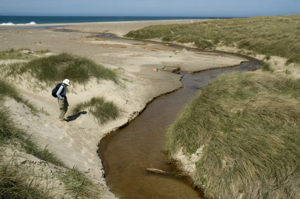 Erlebnistipp Nationalpark Thy