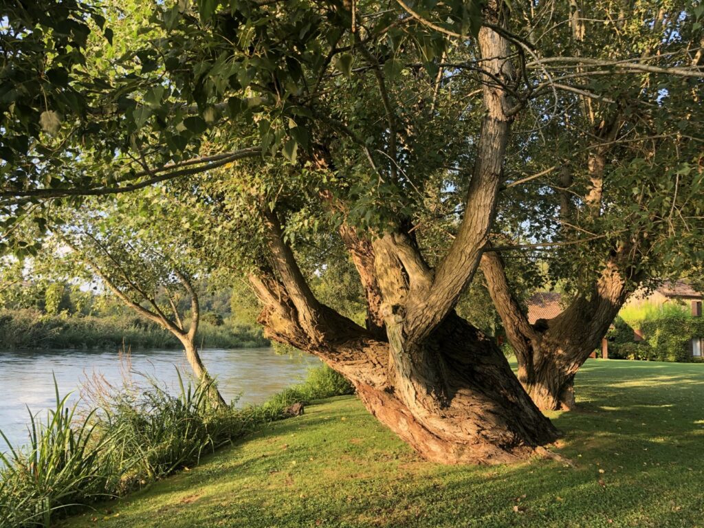 Geheimtipp Gardasee - La Finestra sul Fiume