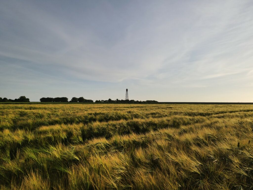 Ferienwohnung Ostfriesland - Heiselhusen