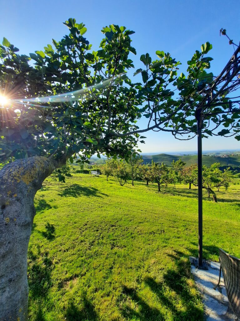 Landhotel Langhe - Borgo Piani