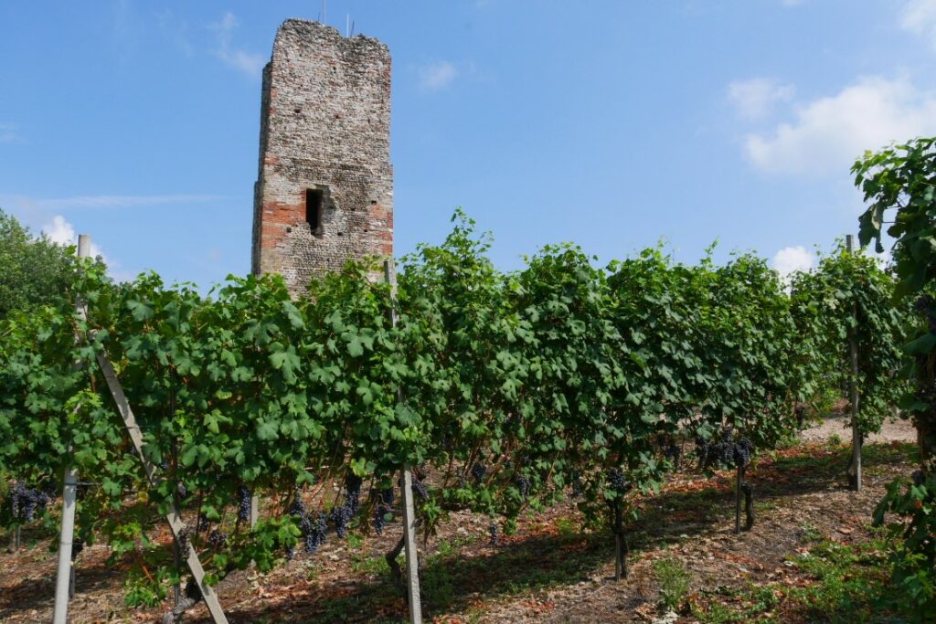 Terre dell’Alto Piemonte - Tipps Lago Maggiore