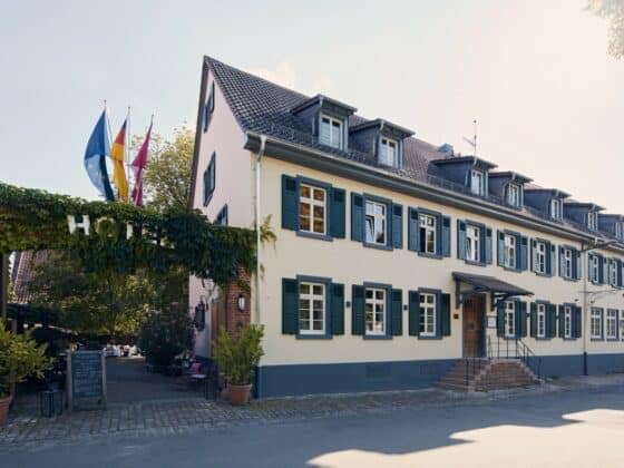 Boutique Hotel Heidelberg - Grenzhof