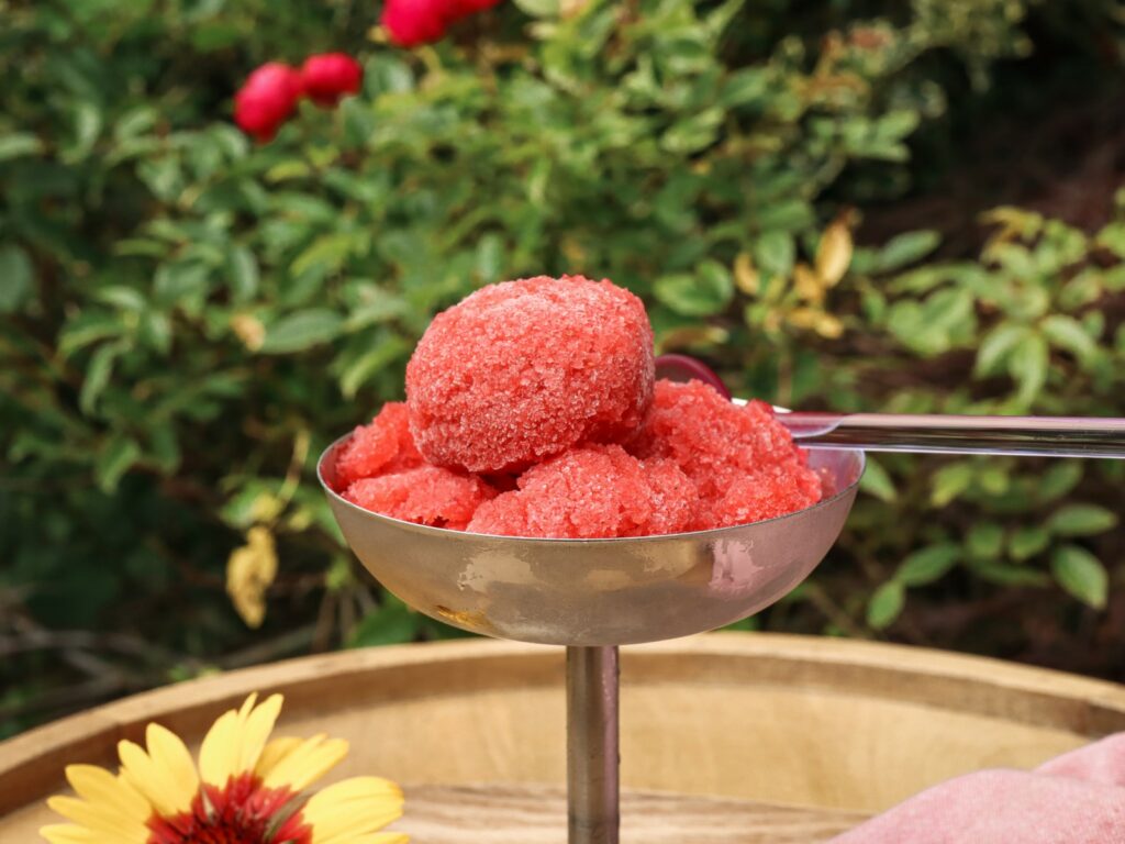 Erdbeer Rosé Sorbet oder Erdbeer Spritz