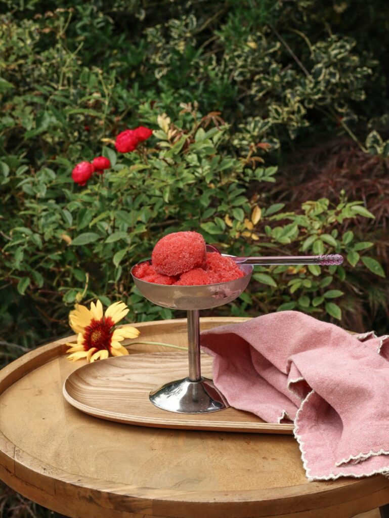 Erdbeer Rosé Sorbet oder Erdbeer Spritz