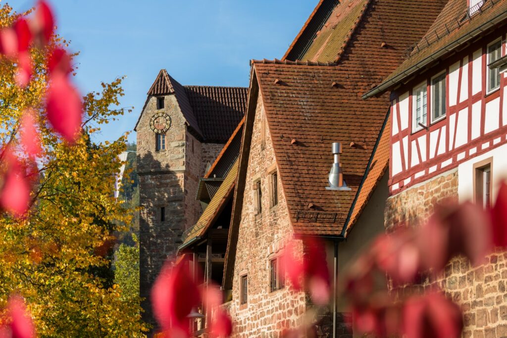 Erlebnistipps Heidelberg - Eberbach