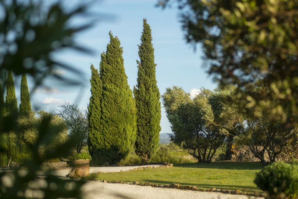 Ferienwohnung bei Carcassonne - Chateau Villarlong