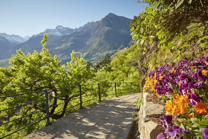 Panoramic Suites Winzerhöhe – Ferienwohnung bei Meran