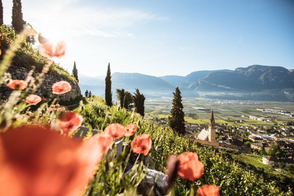 Panoramic Suites Winzerhöhe – Ferienwohnung bei Meran