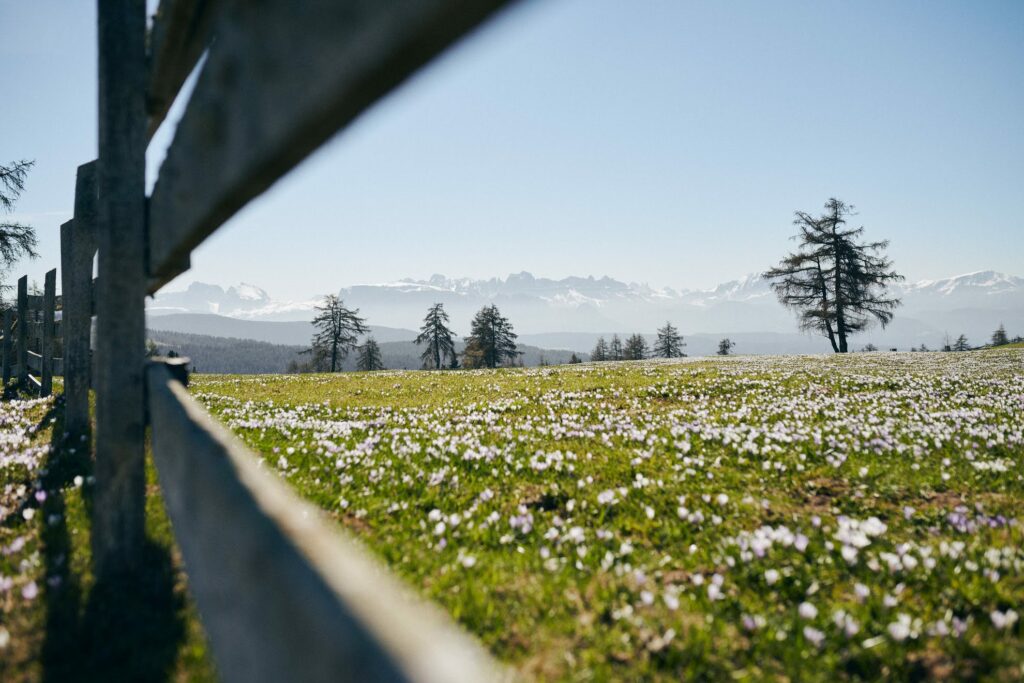 Panoramic Suites Winzerhöhe – Ferienwohnung bei Meran