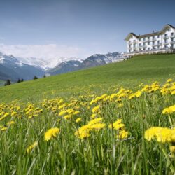 Boutiquehotel bei Luzern - Villa Honegg