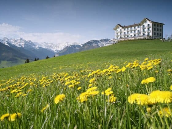 Boutiquehotel bei Luzern - Villa Honegg