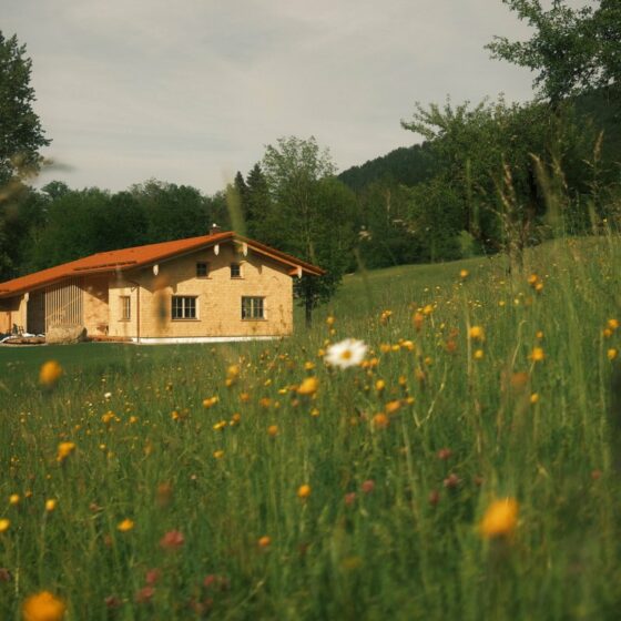 Ferienhaus bei Oberstaufen - Das Antons