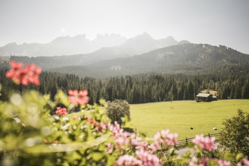 Ferienwohnungen Welschnofen - Der Karerhof