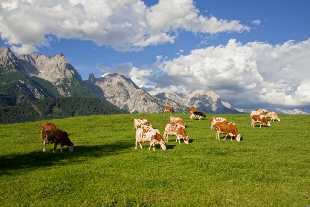 Erlebnistipps Karwendel